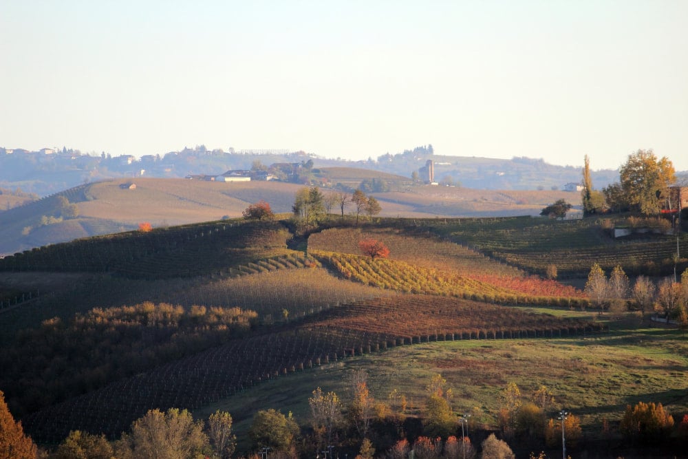 Barolo, Piemonte Hills