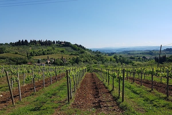 Chianti Region