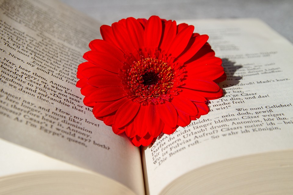 book