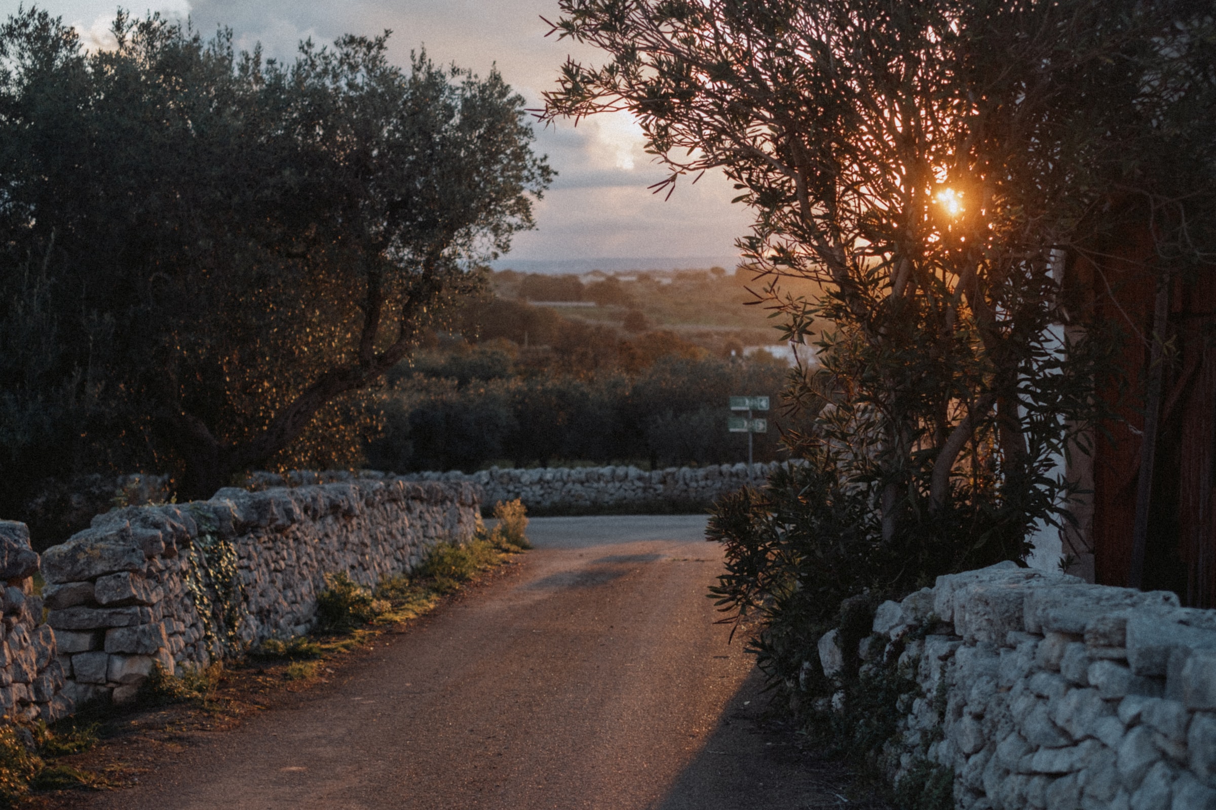Puglia Countryside