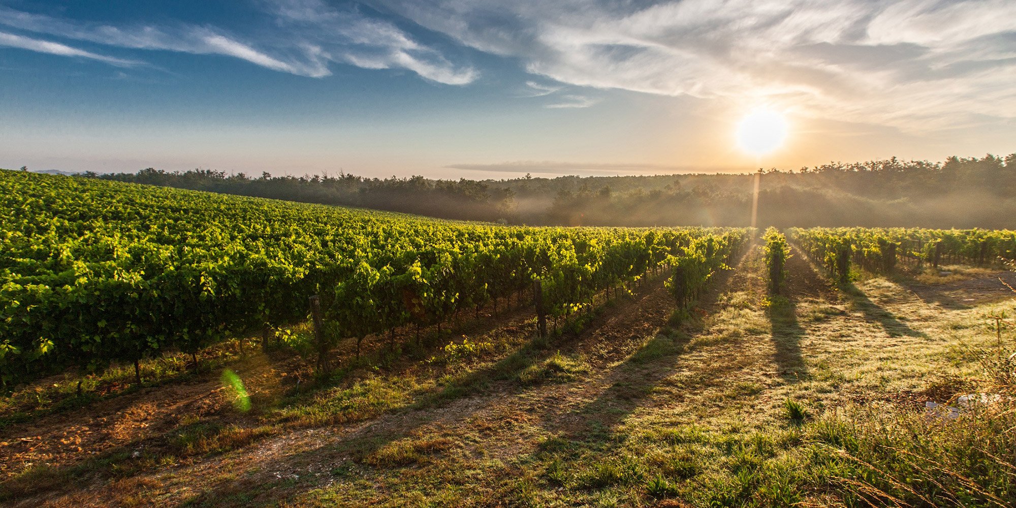 Experience Italy in September